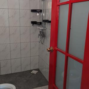 Mufasa city Hostel and Apartments