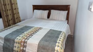 Mufasa city Hostel and Apartments