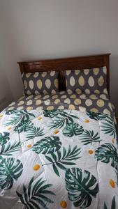 Mufasa city Hostel and Apartments