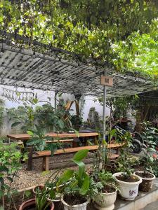 Asahi Luxstay - Homestay Đường Lâm Hostel