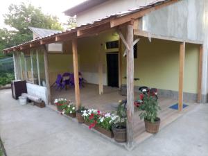 Palićka ruža - Palic rose