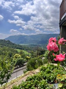 Appartamento CASA DEI NONNI