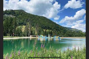 Appartements Appartement aux portes de Megeve : photos des chambres