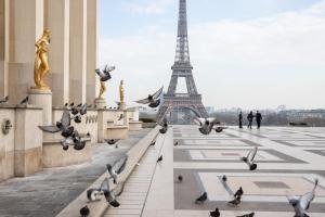 Appartements Le petit Marnais - 15mn Disneyland - 25mn Paris : photos des chambres