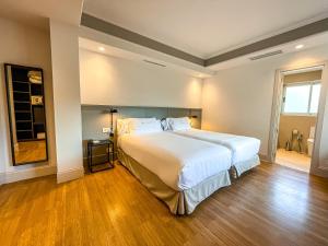 Standard Twin Room room in Hotel Rio Bidasoa