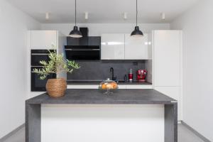 Deluxe apartment BRAČOLET private pool