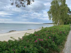 Blaumuschel Haus B Wohnung 40 - DH