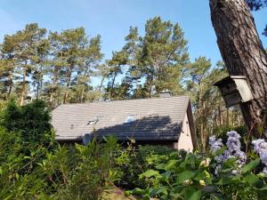 Ferienhaus am Dünenwald - DH