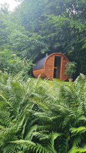 4 Sterne-Haus am See