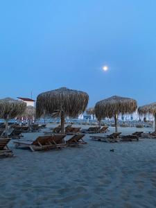 Sea View apartament exact pe malul marii - Mamaia Nord