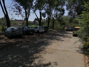 APARTMAN PIVA