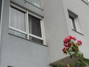 Well-equipped apartment with free parking