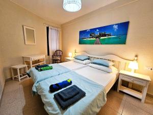 Viñas del Mar with Sea View