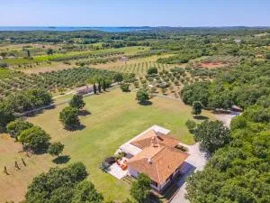 Malipiero Estate - Villa and Cottage - Crnibek