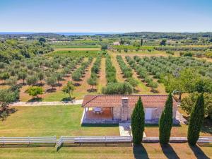 Malipiero Estate - Villa and Cottage