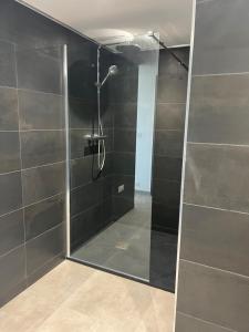 Appartements LOCA VACANCES : photos des chambres