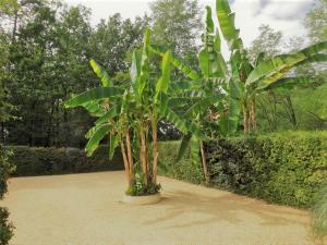 Chalets Gite les Pyracantas : photos des chambres