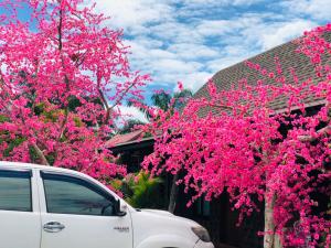 กอบสุข รีสอร์ท2 k12