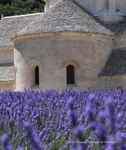 Maisons d'hotes ENTRE VENTOUX ET LUBERON Chambre d'hote : photos des chambres