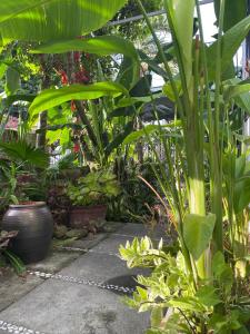 Sunny Garden Homestay