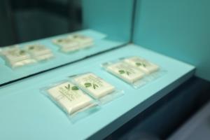 Palestrina17 - Riccione a due passi dal mare