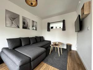 Appartements Le grand moretain : photos des chambres