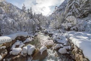 Appartements Le jardin privatif de Pauze a CAUTERETS : photos des chambres