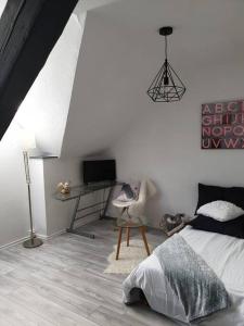 Appartements Studio moderne a Vieux- Thann avec parking privee : photos des chambres