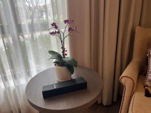 Nancy Grand Vung Tau Villa 5