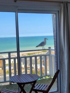 Villas L'Eglantine bord de mer : photos des chambres