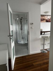 Apartament Pod Kamienną Górą XII