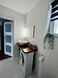 Apartament Pod Kamienną Górą XII