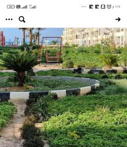 شاليهات للإيجار في الاحياء