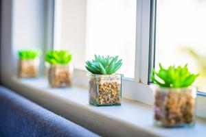 Coral Stay Kite Beach