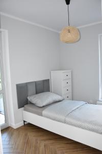 Apartament pod zegarem