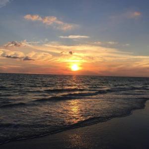 The Beach Oasis in Indian Shores, FL