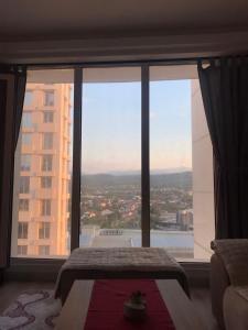 Skyview City Apartment