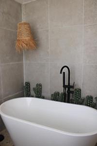 Lua Boutique Studios