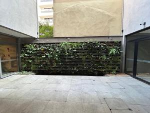 Studio 802 - Bela Cintra