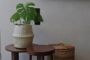 Lua Boutique Studios