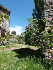 Maisons de vacances Provencal farmhous Luberon, swimming pool : photos des chambres