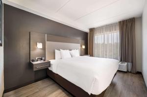 King Suite - Non-Smoking room in Comfort Suites Northlake