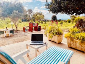 Casa Montjuïc Mare & Passione img17