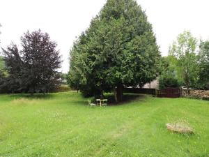 Maisons de vacances Gite Vic-sur-Cere, 4 pieces, 6 personnes - FR-1-742-176 : Maison de Vacances