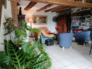 Maisons de vacances Gite Anglards-de-Salers, 3 pieces, 4 personnes - FR-1-742-322 : photos des chambres