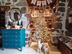 Maisons de vacances Gite Anglards-de-Salers, 3 pieces, 4 personnes - FR-1-742-322 : photos des chambres