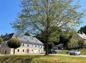 Ferienwohnungen Yanev - Konradsreuth