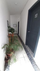 A9 Habitacion con baño propio Condesa Amsterdam