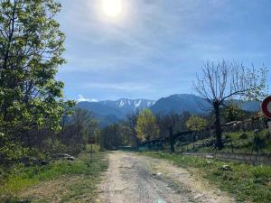 Appartements Residence Les Balcons Du Canigou - 3 Pieces pour 6 Personnes 844 : photos des chambres