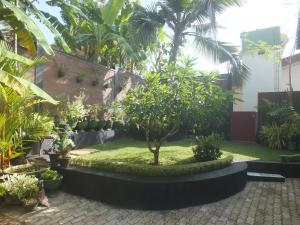 Tranz Kuin Villa